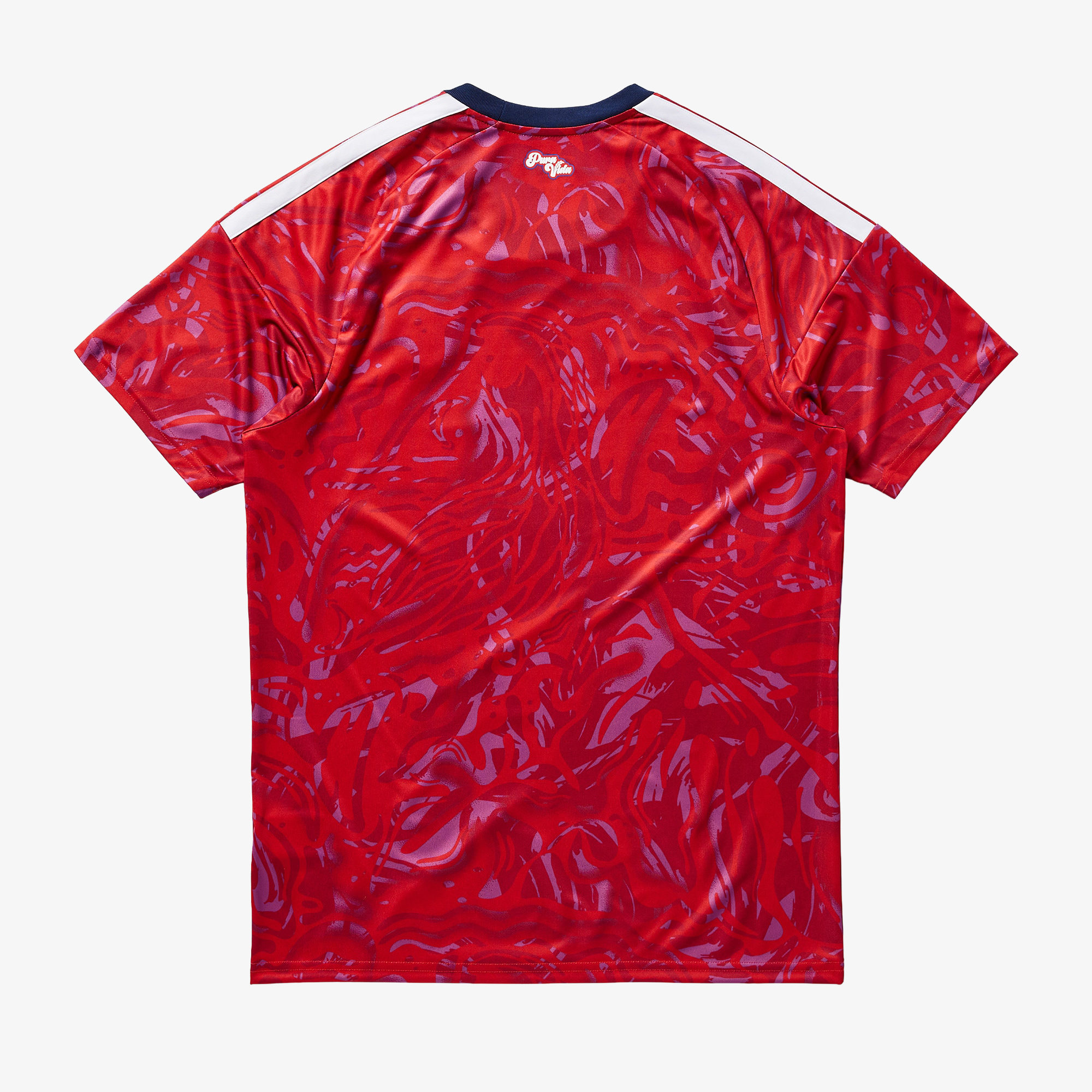 Maillot domicile du Costa Rica 2025/26 - Hommes