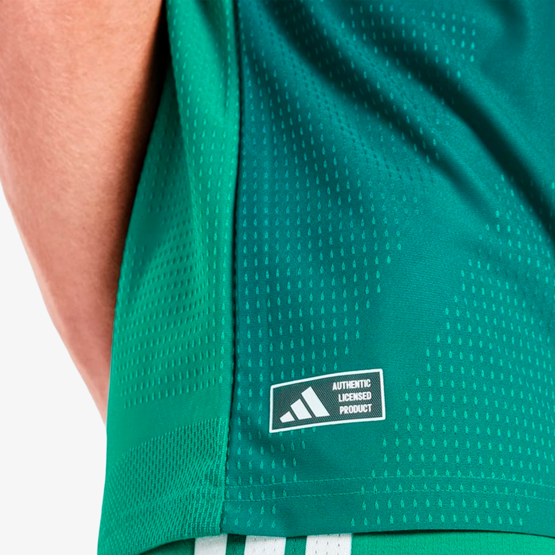 Maillot domicile authentique de l'Irlande du Nord 2025/26 - Homme