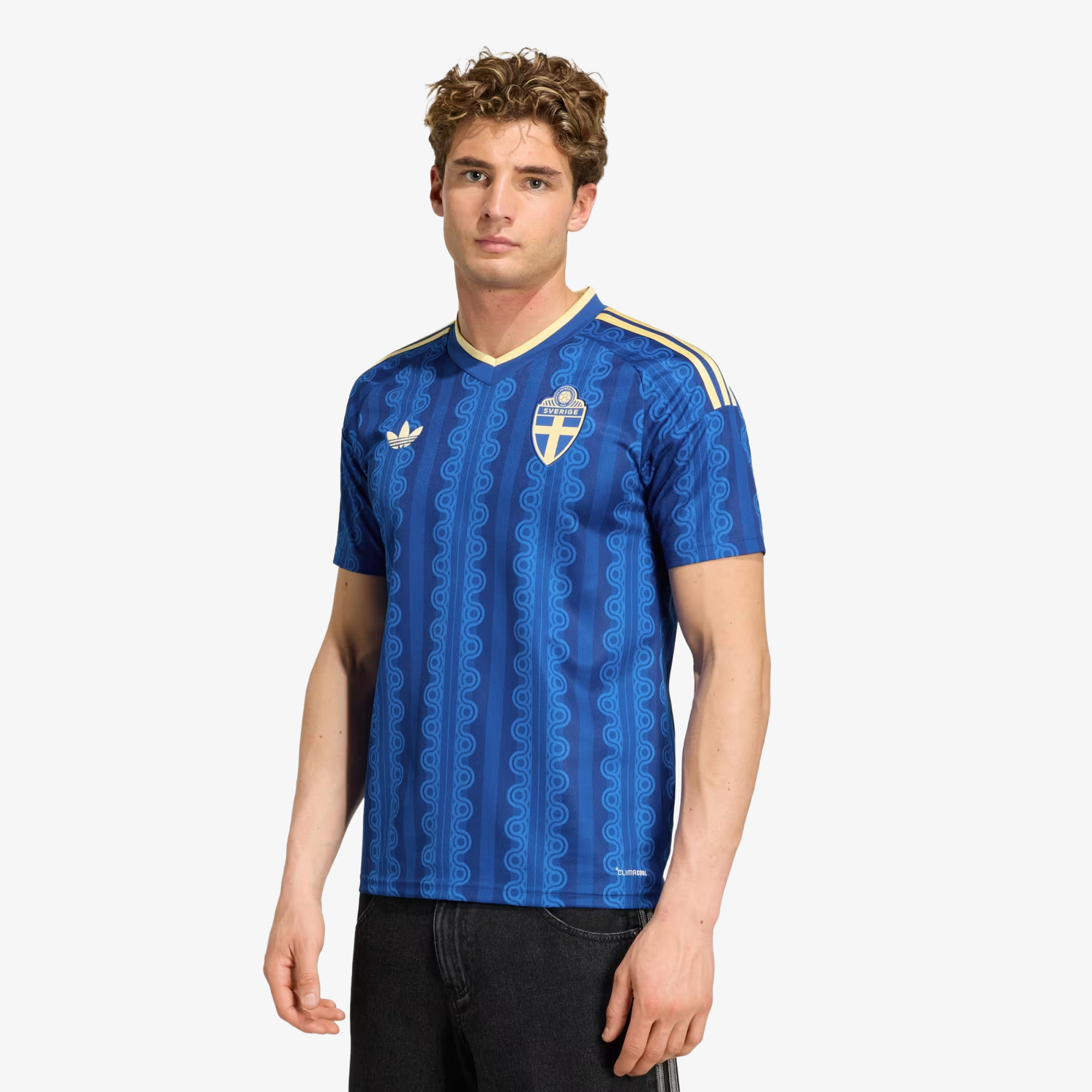 Camisa Alternativa da Suécia 2026 - Masculino