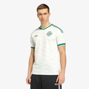Camiseta Irlanda del Norte Segunda Equipación 2026 - Hombre