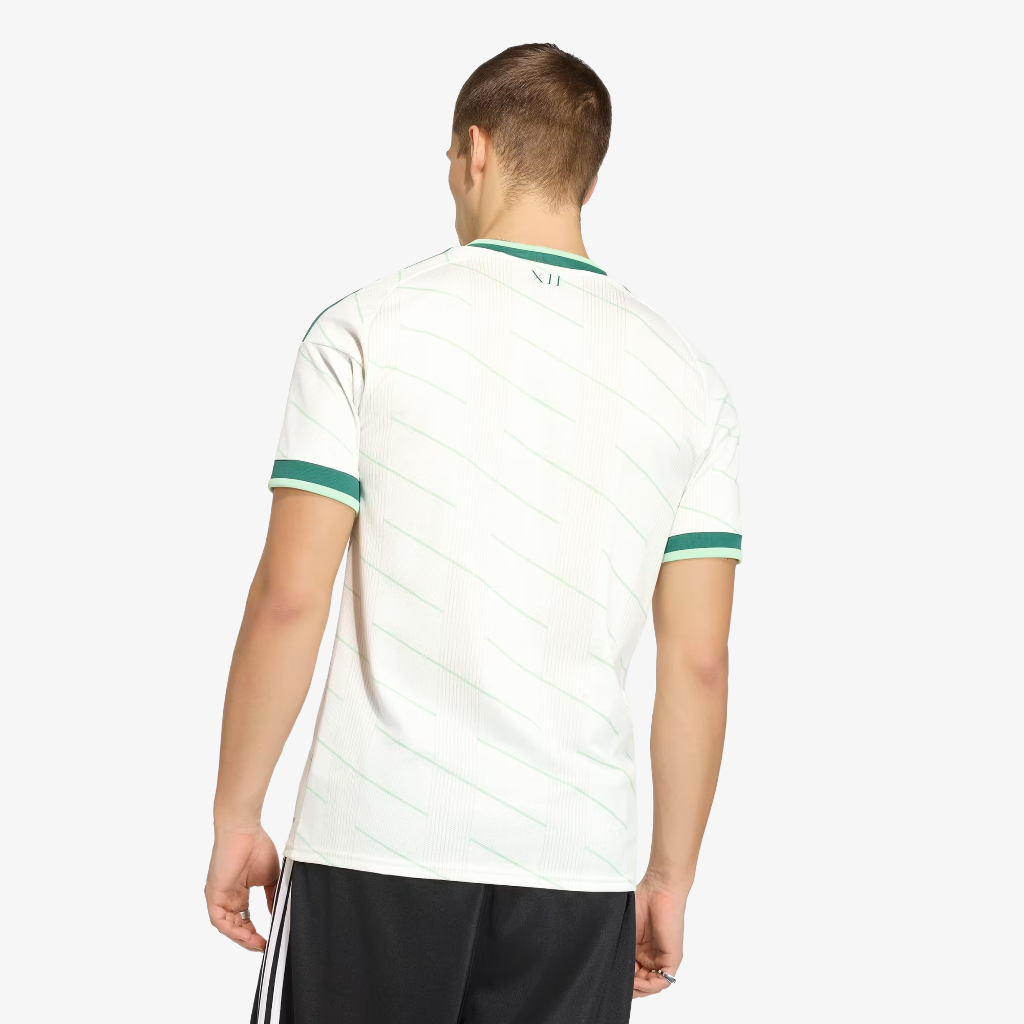 Camiseta Irlanda del Norte Segunda Equipación 2026 - Hombre