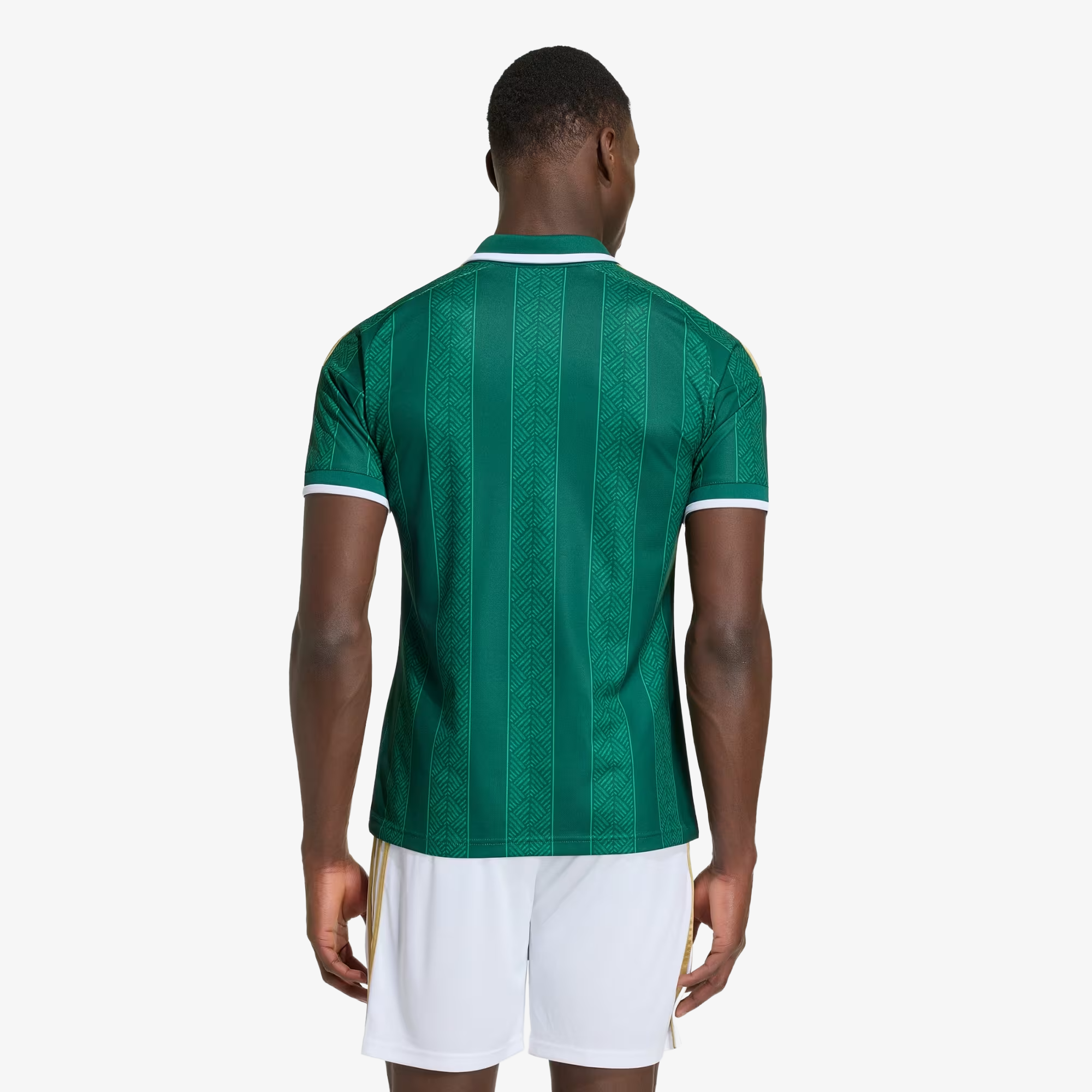Camiseta Sudáfrica Segunda Equipación 2026 - Hombre