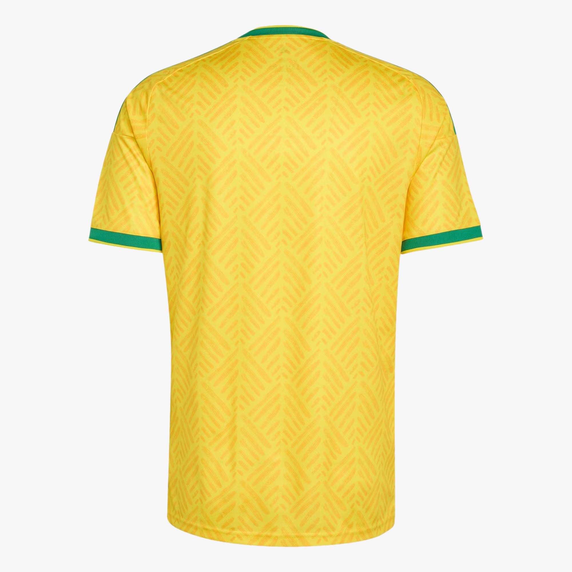 Camiseta Sudáfrica Primera Equipación 2026 - Hombre