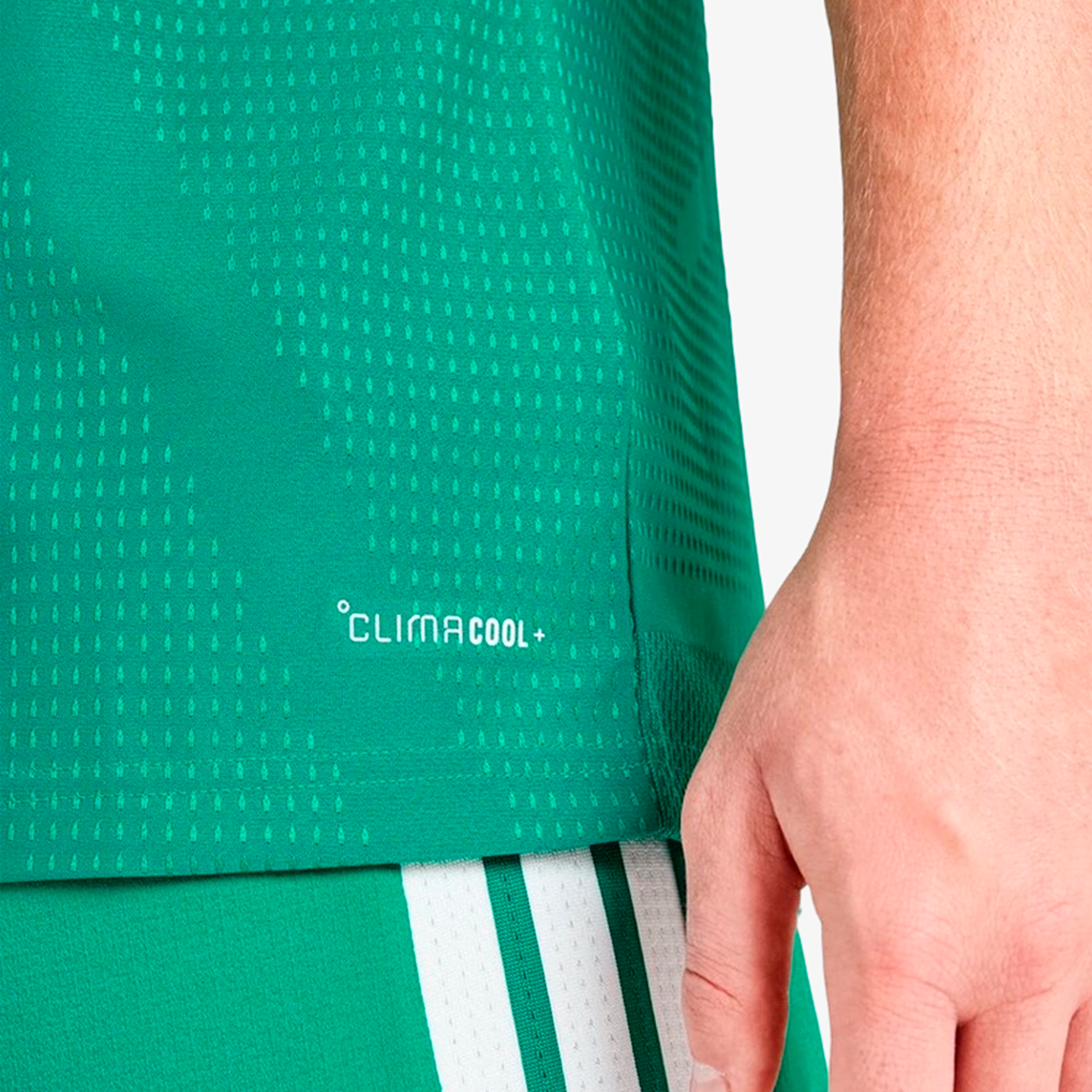 Maillot domicile authentique de l'Irlande du Nord 2025/26 - Homme 