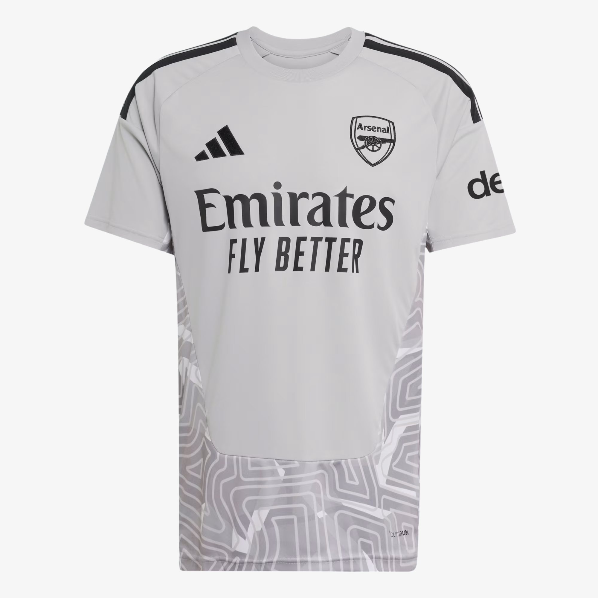 Arsenal Torwarttrikot 2026/27 Grau – Herren
