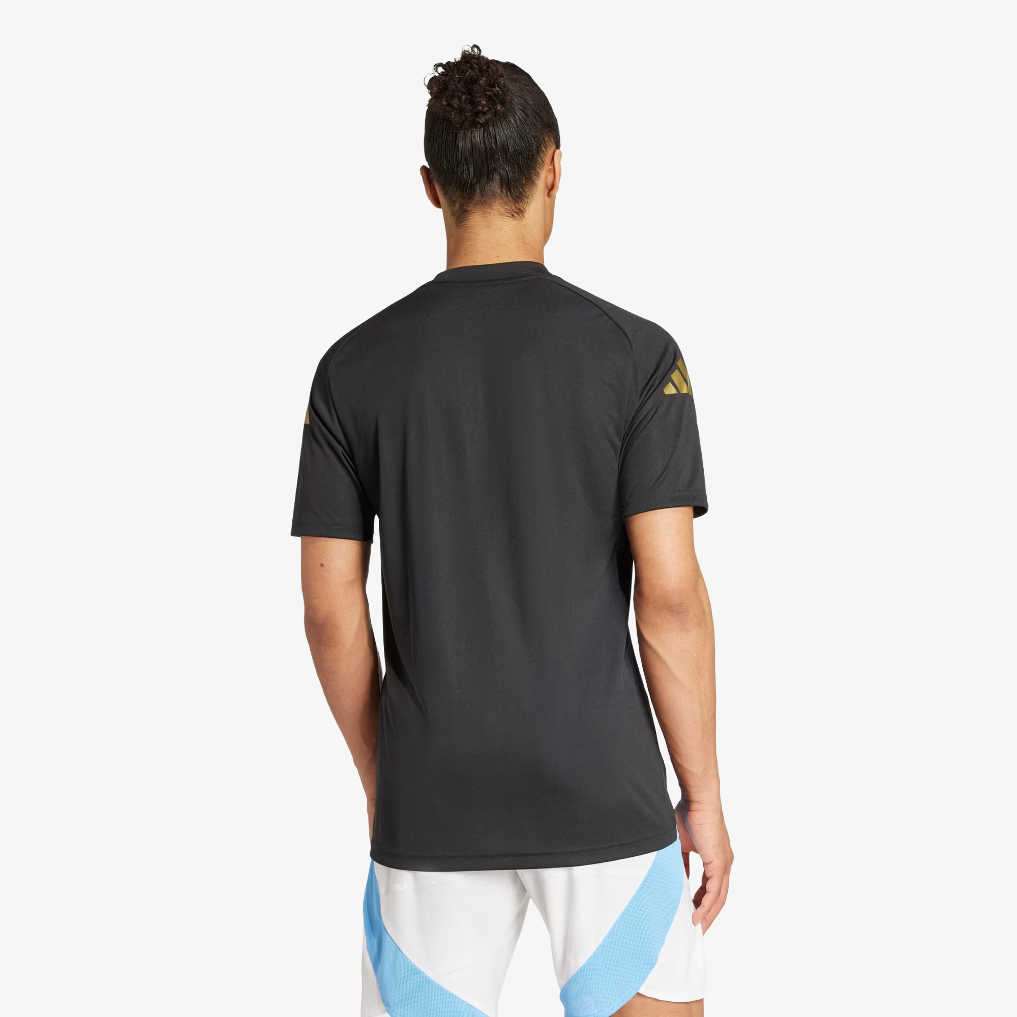 Maillot d'avant-match Argentine 2024 - Homme 