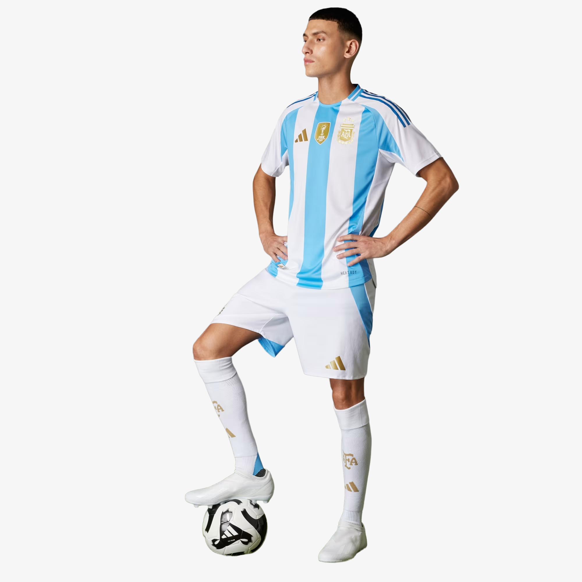 Maillot domicile officiel de l'Argentine 2024 - Homme 