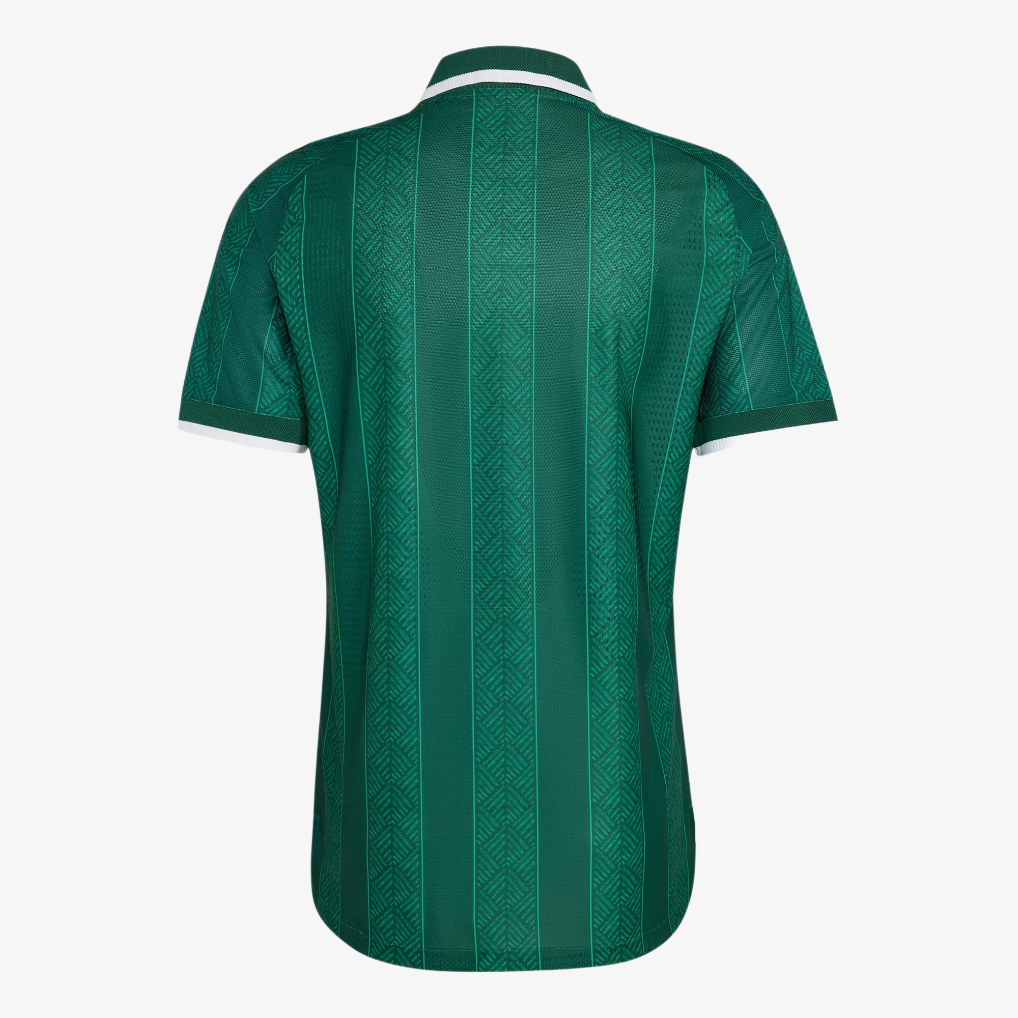 Camiseta Authentic Sudáfrica Segunda Equipación 2026 - Hombre