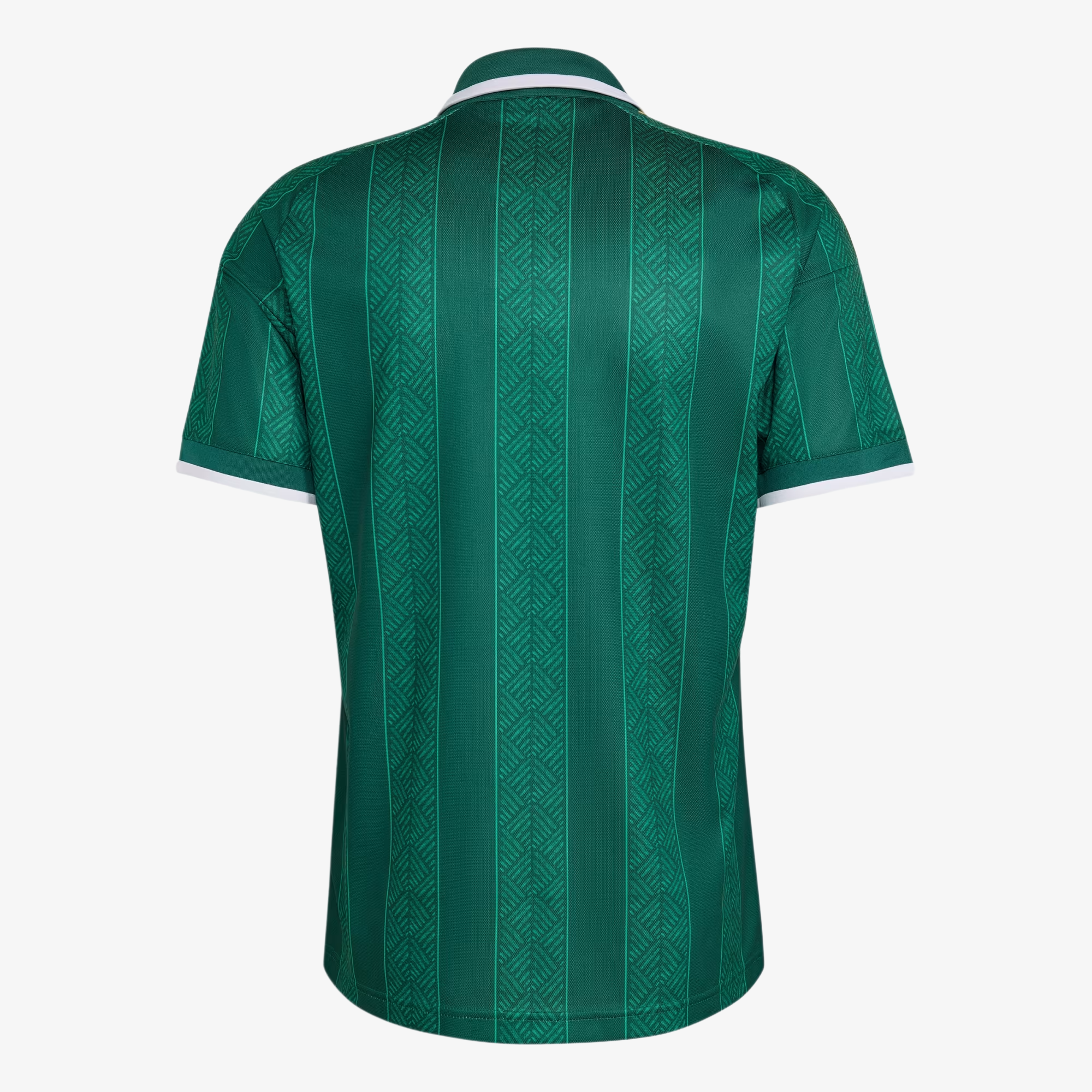 Camiseta Sudáfrica Segunda Equipación 2026 - Hombre