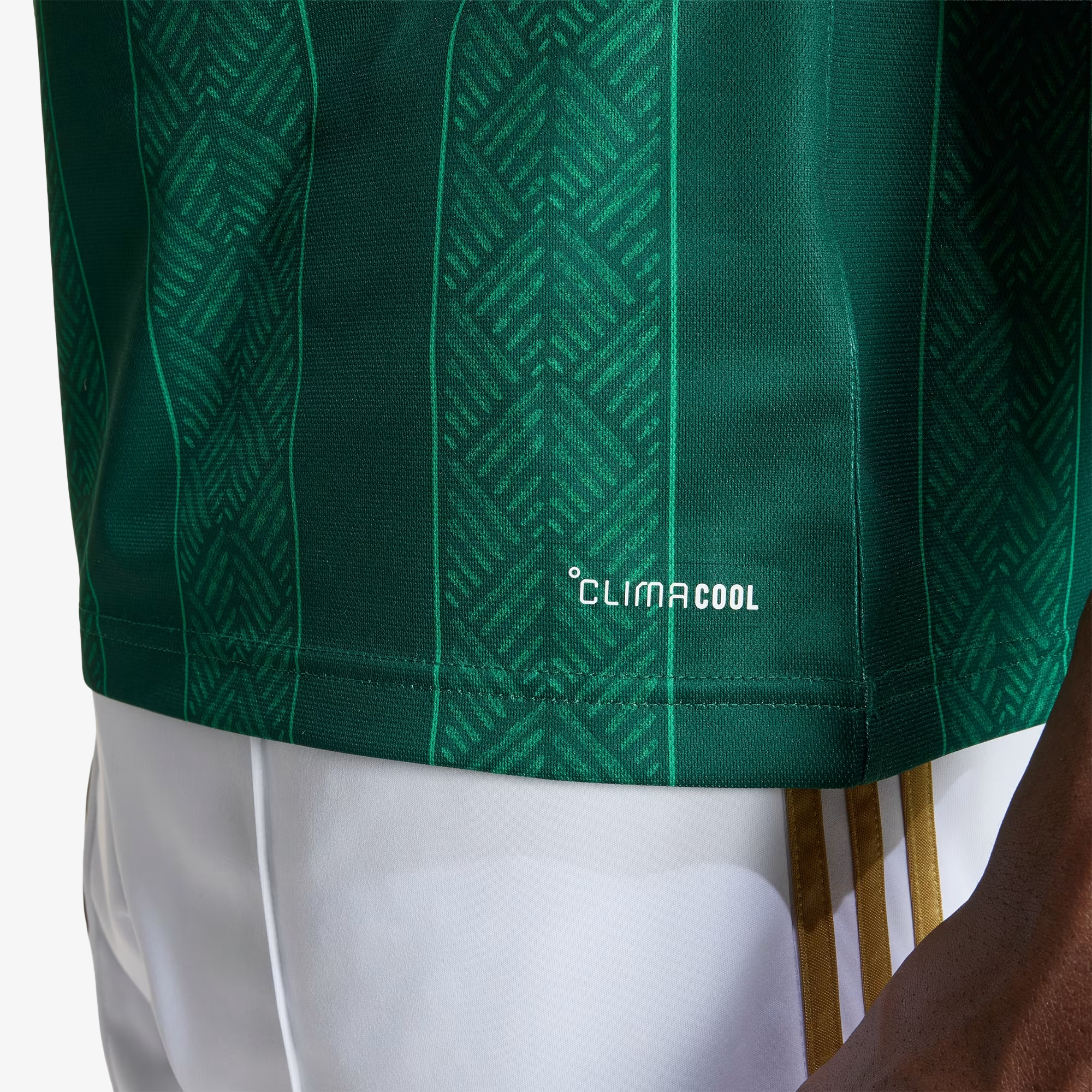 Camiseta Sudáfrica Segunda Equipación 2026 - Hombre