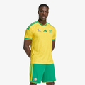 Camiseta Sudáfrica Primera Equipación 2026 - Hombre