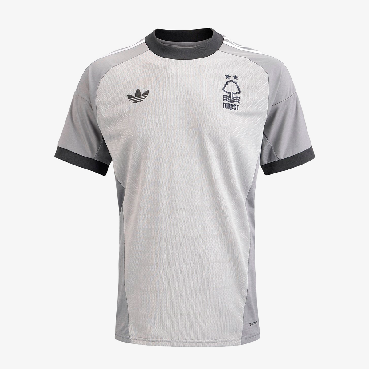 Nottingham Forest Grey Torwarttrikot 2026/27 – Herren